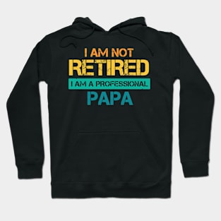 I am not retired I am a professional papa Hoodie